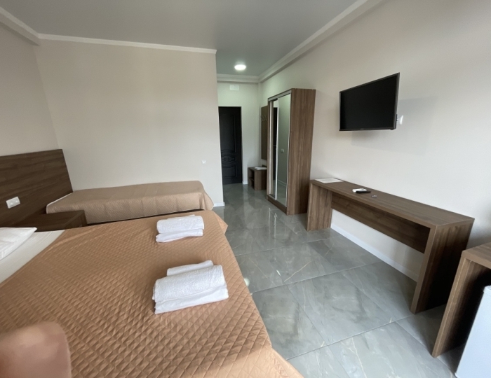 Стандарт 3-местный - Отель «Бугенвиллея» Пицунда